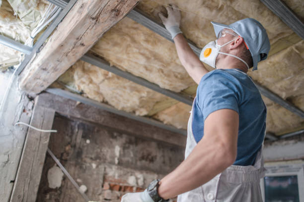 Best Spray Foam Insulation in Mulberry, AR
